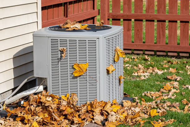 Best HVAC Tune-Up Services  in Mount Pleasant, TX